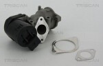 TRISCAN EGR-klapp 8813 10001