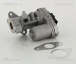 TRISCAN EGR-klapp 8813 10002
