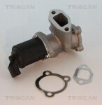 TRISCAN EGR-klapp 8813 10003