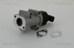TRISCAN EGR-klapp 8813 10005