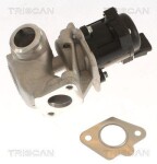 TRISCAN EGR-klapp 8813 10018