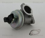 TRISCAN EGR-klapp 8813 16012