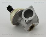 TRISCAN EGR-klapp 8813 16102