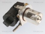 TRISCAN  EGR-klapp 8813 23040