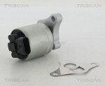 TRISCAN EGR-klapp 8813 24002