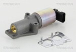 TRISCAN EGR-klapp 8813 24010