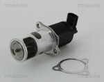 TRISCAN EGR-klapp 8813 25038