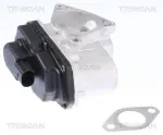 TRISCAN EGR-klapp 8813 29003