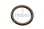 TRUCKTEC AUTOMOTIVE  Tihend,sisselaskekollektor 02.67.008