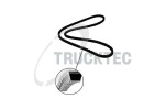TRUCKTEC AUTOMOTIVE Kiilrihmad 14.19.033