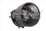 TYC 503-0024