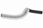 VAICO  Jahutusvoolik Q+, original equipment manufacturer quality V10-0052