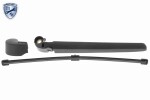 VAICO Kojameehe komplekt,  klaasipesu EXPERT KITS + V10-3466