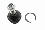 VAICO Kande-/juhtliigend šarniir Green Mobility Parts V10-7037-1