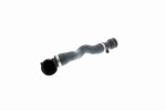 VAICO  Jahutusvoolik Q+, original equipment manufacturer quality V20-0863