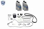 VAICO Комплект ремня ГРМ EXPERT KITS + V22-0887