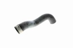 VAICO  Jahutusvoolik Q+, original equipment manufacturer quality V30-1656