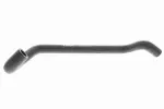 VAICO  Jahutusvoolik Q+, original equipment manufacturer quality V30-2967