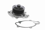  Veepump, mootori jahutus Original VAICO Quality V30-50059