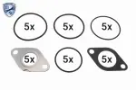 VEMO Tihendikomplekt,  EGR- süsteem EXPERT KITS + V10-63-0187