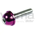 polt kuuskant MOTO. M5X30. violetne 12tk.