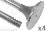 VAPORMATIC VPA1870 / Inlet valve (41x8.96x117mm) suitable for: fendt 12 s farmer, 12 sa favorit, 14 s farmer, 102 farmer, 102 ls farmer, 102 lsa farmer, 102 s farmer, 102 sa farmer, 103 farmer, 103 ls farmer