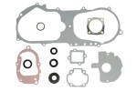 WINDEROSA W811887 / engine gaskets - set (with oil seals) fits: polaris predator, scrambler, sportsman 90 2001-2004
