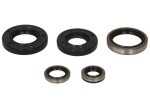 WINDEROSA W822129 / engine gasket set (number of pieces included in the set 5 pcs) fits: kawasaki kx 250 1982-1982