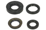 WINDEROSA W822261 / engine gasket set (number of pieces included in the set 4 pcs) fits: polaris predator, scrambler, sportsman 50/90 2001-2006