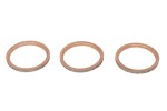 WINDEROSA W823012 / exhaust system gasket fits: yamaha fj-09, fz-09, mt-09, mxt, niken, tracer, xsr, yxz 847-1000 2014-2021