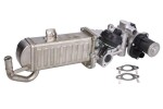 BORG WARNER 710861D/1 / egr valve (module with radiator) fits: audi a3, q3, tt, seat alhambra, altea, altea xl, ibiza iv, leon, skoda octavia ii, superb ii, yeti, vw beetle, caddy iii 1.4d/1.6d/2.0d 05.03-12.22