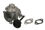 BORG WARNER 7283D / egr klapp sobib: seat cordoba, ibiza iii, leon, skoda fabia i, fabia i praktik, octavia i, octavia i/kombi, vw golf iv, golf v, new beetle, polo iv, touran, multicar tremo 1.9d 09.96-
