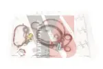 YSPARTS Remondikomplekt,  vaakumpump(pidurisüsteem) YS-VP03XLB01
