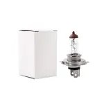 pirn 24V H4 100/90W P43T